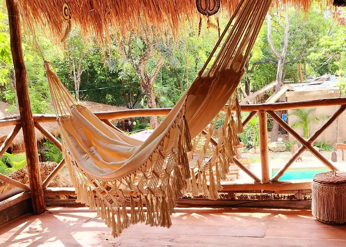 Hotel Jungle Deluxe Kin *