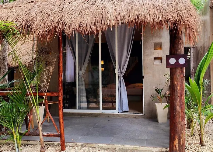 Hotel Jungle Deluxe Kin