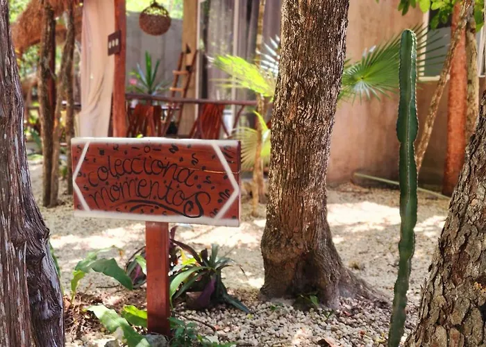 Jungle Deluxe Kin *